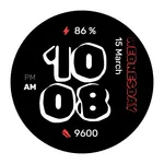 WES12 - Vinyl Watch Face icon