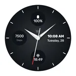 WES14 - Gunmetal Watch Face icon
