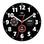 WES15 - Military Watch Face icon