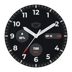 WES26: Sports Analog Watchface icon