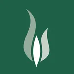 Safeguarding.ie icon