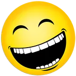 Naljaraamat icon