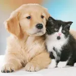 My Animals icon