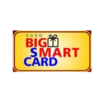 Big Smart Card icon