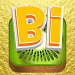 Bidioo icon