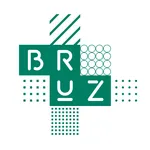 Ville de Bruz icon
