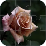 Rose Jigsaw Puzzle icon