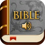 Offline Bible app with audio icon