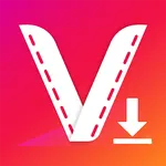 Video Downloader - Story Saver icon