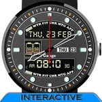 Gauge Watch Face icon