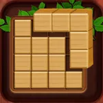 QBlock Puzzle : Brain Games icon