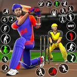 Bat & Ball: Play Cricket Games icon