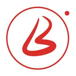 Brafie Provider icon