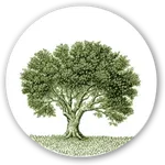 myEvrotas icon