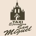 Taxi Ejecutivo San Miguel icon