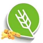 हळद लागवड #Agrownet™ icon