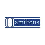 Hamiltons icon