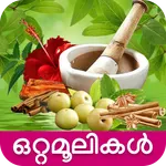 Ottamooli Malayalam icon