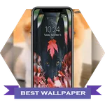 cute Dogs Live Wallpapers 4K icon