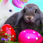 Easter wallpapers icon