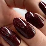 Shellac Nails icon