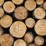 Wooden Wallpapers icon