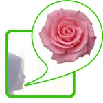Help Me Colombia icon