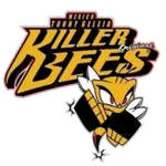 Killer Bees Timer icon