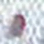 FishDisease icon