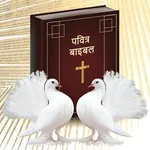 Bible Hindi icon