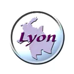 Lyon City Guide icon