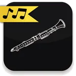 Clarinet Lessons icon