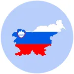 Slovenian Thesaurus icon