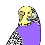 Budgiegenex Pro icon
