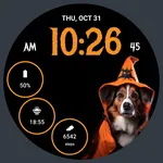 Halloween 2024 WF Premium icon