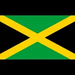 Flag Identification icon