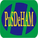 Survey Pusdeham icon
