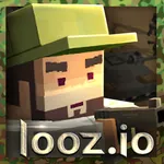 looz.io icon
