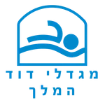 מגדלי דוד icon