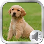 Dog Sounds Ringtones icon