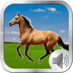 Horse Sounds Ringtones icon