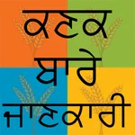 Wheat DSS icon