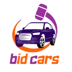 Bidcars Dealers icon
