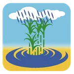 Ikshu Kedar icon