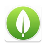 MongoDB Database icon