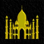 Shahi Biriyani icon