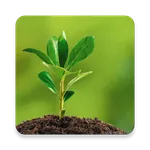 Environmental Ecology icon