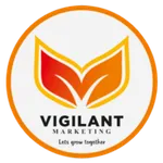 VMT Social icon