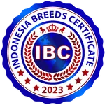 IBC icon