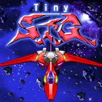 TinySTG icon